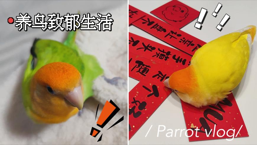 8769的资料49图49图库,孤独摇滚第二季PV,权威独家讨论与热门话题_云端版V8.28