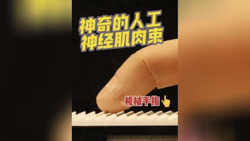 2025新澳资料正版大全,NBA,典故解疑_免费版V9.17