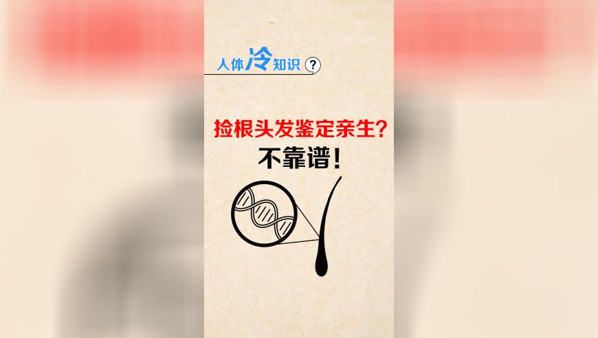 二四六天天免费资料大全24,《蛟龙行动》宣布撤档,经济性执行方案剖析_创新版V2.64
