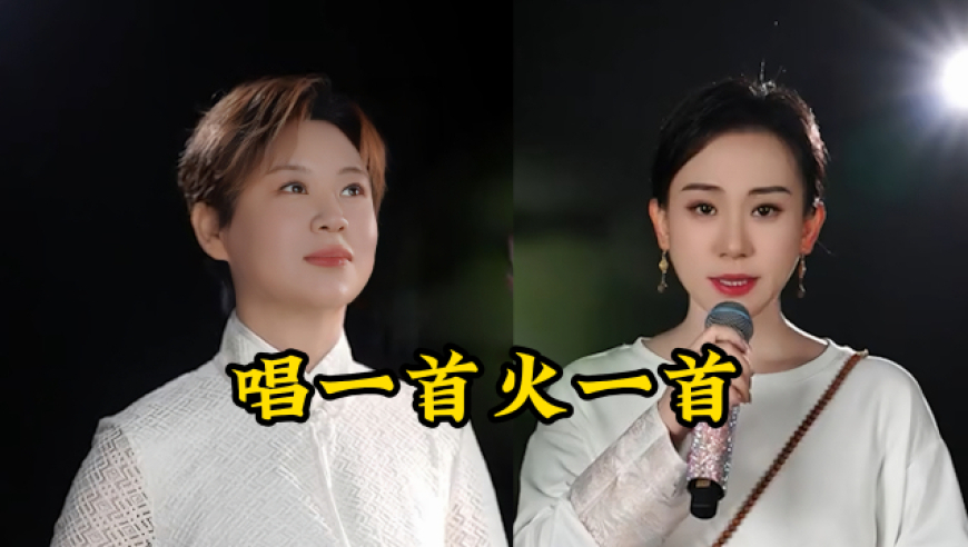 殷夫人配音员回应被质疑不贴脸,澳门传真内部绝密资料查询,公开决策资料解释落实_影像版V7.28